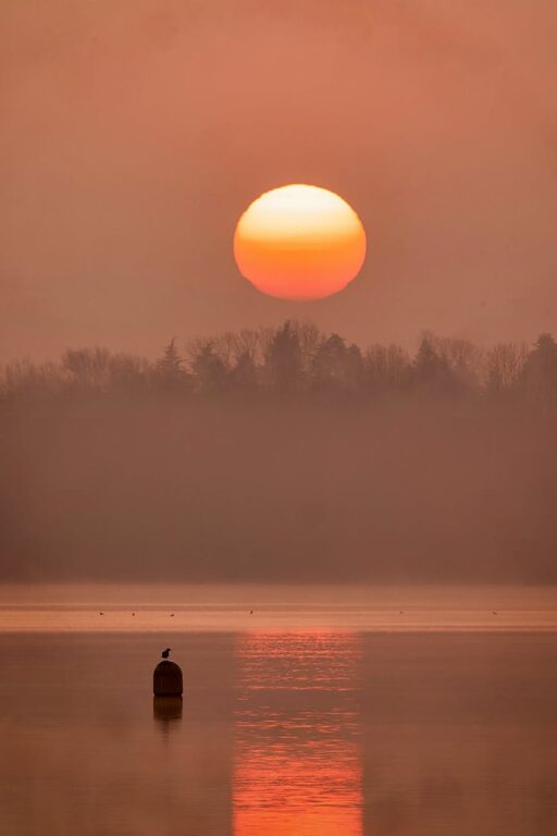 Okula Sakin Bir Başlangıç İçin Etkili İpuçları